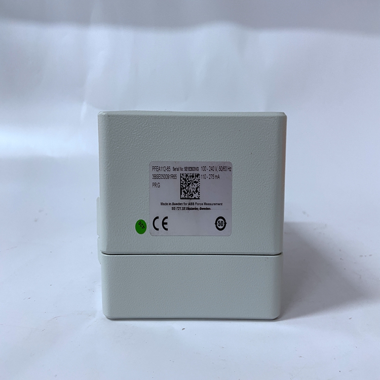 PFEA112-65 3BSE050091R65 (7).jpg